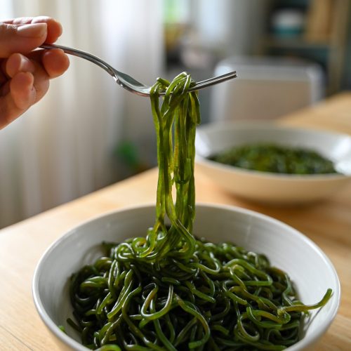 Fresh-kelp-noodles-with-bouncy-texture-fork